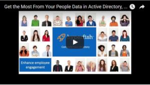 Get the Most From Your People Data in Office 365 and SharePoint